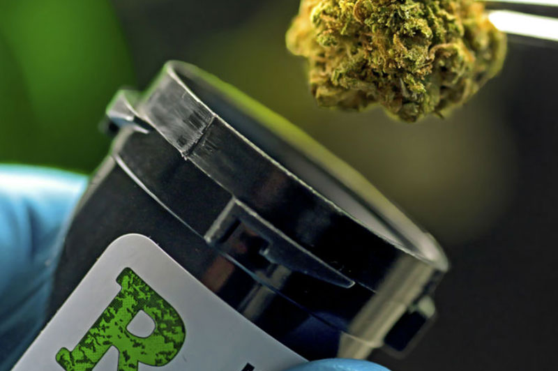 Florida-Jury-Rules-For-Medical-Marijuana-in-Landmark-Case