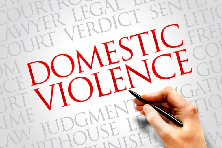 florida domestic violence case law