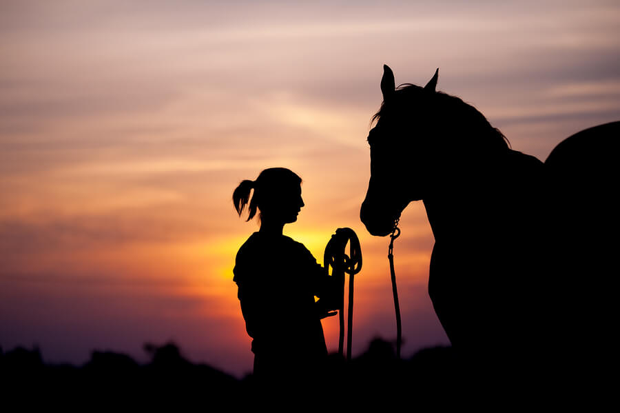 a silhouette of a woman with a horse at sunset