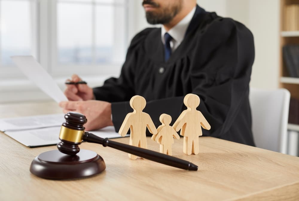 Child Custody lawyer discussing the case